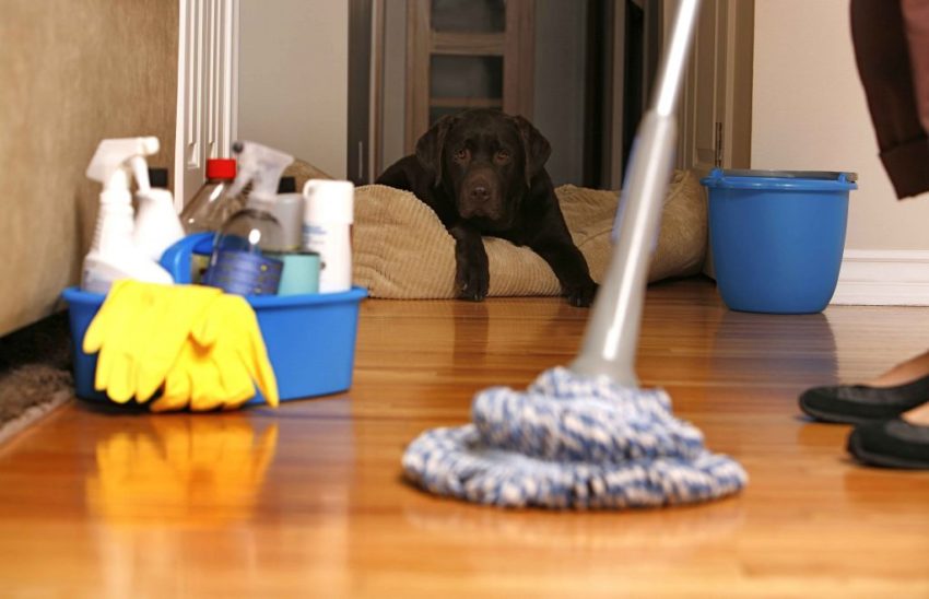 Dog-Safe Home Cleaning Products
