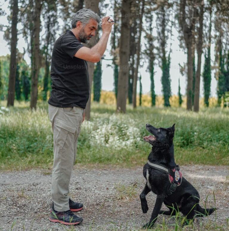 Advanced Dog Training Leave It, Spin, and Jump