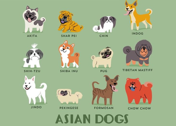 Dogs of Asia