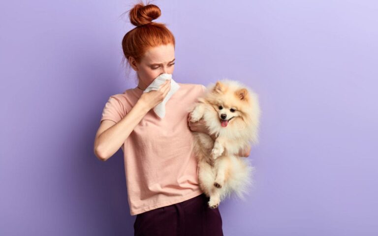 Why Dogs Might Smell Bad and What to Do